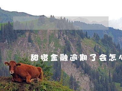 甜橙金融逾期了会怎么样 甜橙金融逾期了会怎么样