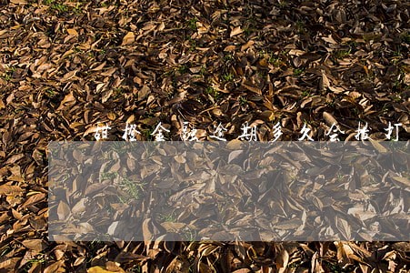 甜橙金融逾期多久会拨打联系人 甜橙金融逾期多久会拨打联系人