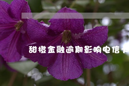 甜橙金融逾期影响电信卡吗 甜橙金融逾期影响电信卡吗