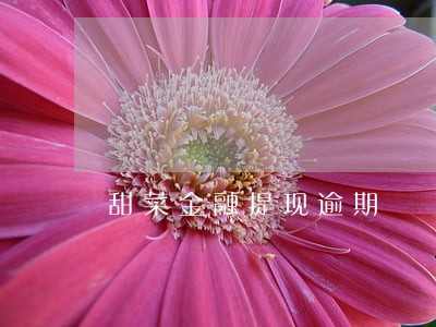 甜菜金融提现逾期 甜菜金融提现逾期