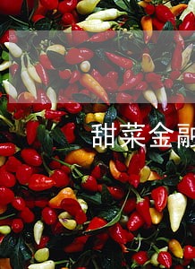 甜菜金融逾期要签协议