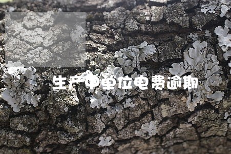 生产中单位电费逾期 生产中单位电费逾期