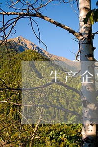 生产企业出口逾期未申报怎么处理 生产企业出口逾期未申报怎么处理