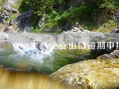 生产企业出口逾期申报 生产企业出口逾期申报