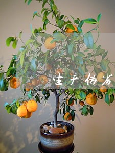 生产伪劣产品罪律师团队 生产伪劣产品罪律师团队