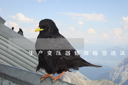 生产变压器修改标签违法吗