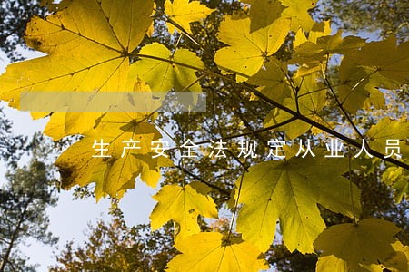 生产安全法规定从业人员 生产安全法规定从业人员
