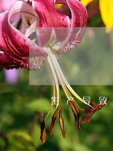 生产导致逾期发货的情况说明 生产导致逾期发货的情况说明