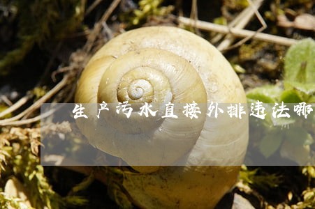 生产污水直接外排违法哪条法律