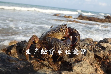 生产经营单位逾期 生产经营单位逾期