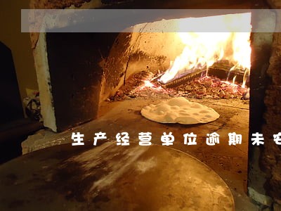 生产经营单位逾期未安排 生产经营单位逾期未安排