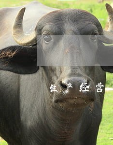 生产经营单位逾期未改正的处罚 生产经营单位逾期未改正的处罚