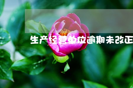 生产经营单位逾期未改正的罚款 生产经营单位逾期未改正的罚款