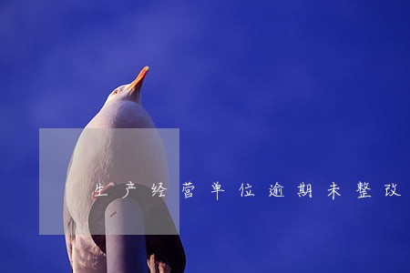 生产经营单位逾期未整改 生产经营单位逾期未整改