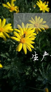 生产经营单位逾期未整改的 生产经营单位逾期未整改的