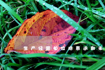 生产经营单位隐患逾期未改的处罚 生产经营单位隐患逾期未改的处罚