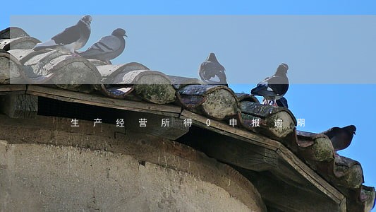 生产经营所得0申报逾期 生产经营所得0申报逾期