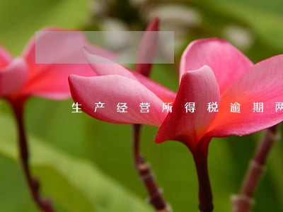 生产经营所得税逾期两个季度 生产经营所得税逾期两个季度