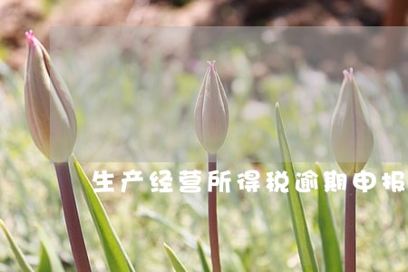 生产经营所得税逾期申报 生产经营所得税逾期申报