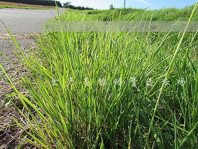 生产高铅锡膏违法吗 生产高铅锡膏违法吗