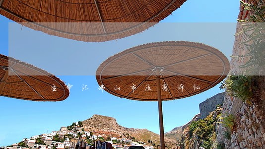生命汇佛山市没有诉讼 生命汇佛山市没有诉讼