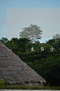 生存分析预测逾期金额 生存分析预测逾期金额