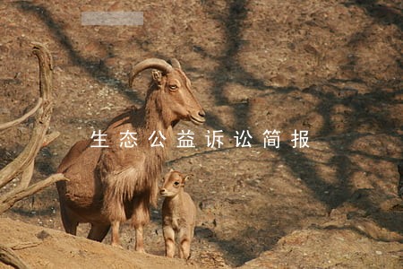 生态公益诉讼简报 生态公益诉讼简报
