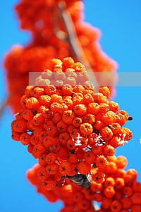 生态环境法律制度可进一步完善 生态环境法律制度可进一步完善
