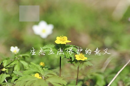 生态立法保护的意义 生态立法保护的意义