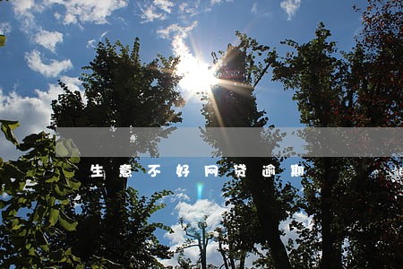 生意不好网贷逾期 生意不好网贷逾期