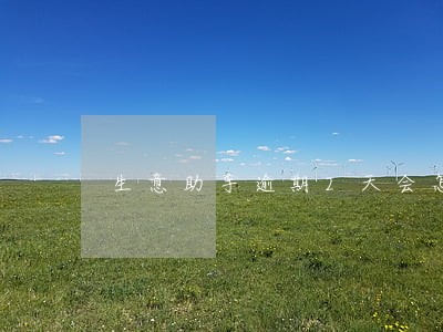 生意助手逾期2天会怎么办