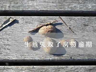 生意失败了房贷逾期 生意失败了房贷逾期