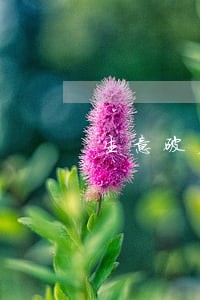 生意破产信用卡逾期100万 生意破产信用卡逾期100万