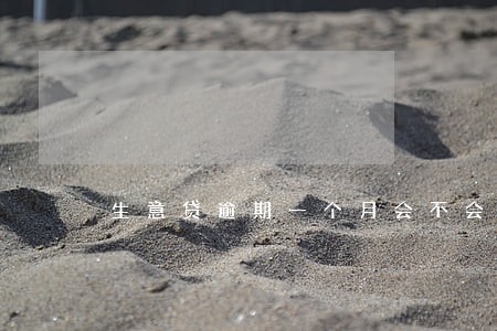 生意贷逾期一个月会不会上征信 生意贷逾期一个月会不会上征信
