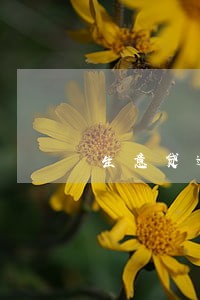 生意贷逾期一年亲身经历 生意贷逾期一年亲身经历
