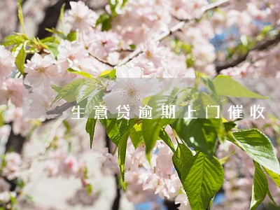 生意贷逾期上门催收 生意贷逾期上门催收