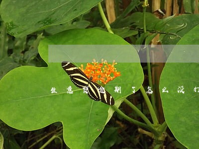 生意贷逾期了怎么没打电话 生意贷逾期了怎么没打电话