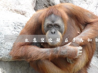 生意贷逾期后多久扣款 生意贷逾期后多久扣款