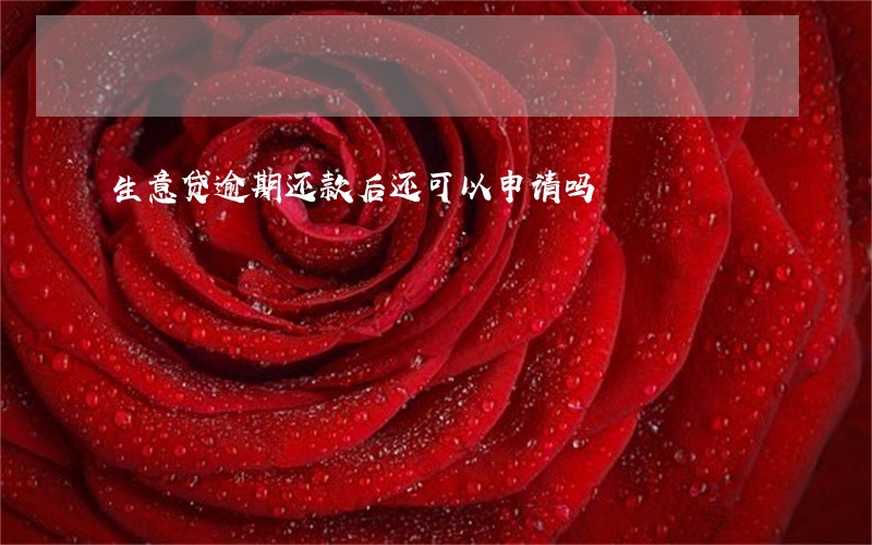 生意贷逾期还款后还可以申请吗 生意贷逾期还款后还可以申请吗