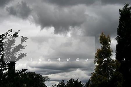 生效的仲裁裁决向哪个法院申请执行 生效的仲裁裁决向哪个法院申请执行