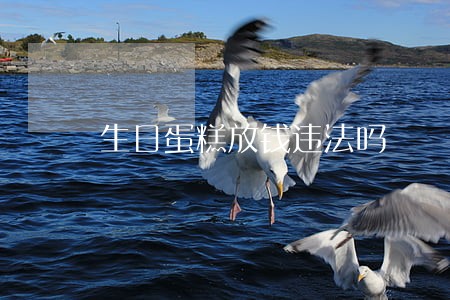 生日蛋糕放钱违法吗 生日蛋糕放钱违法吗