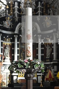 生活与法律息息相关读后感 生活与法律息息相关读后感