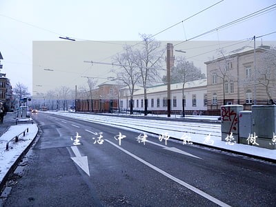 生活中律师能为您做点什么 生活中律师能为您做点什么