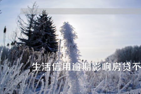 生活信用逾期影响房贷不 生活信用逾期影响房贷不