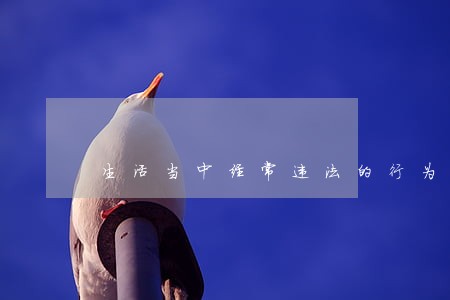 生活当中经常违法的行为有哪些
