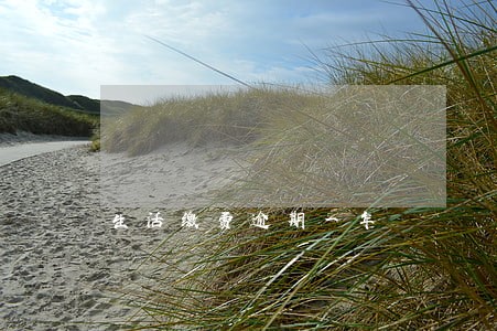 生活缴费逾期一年 生活缴费逾期一年