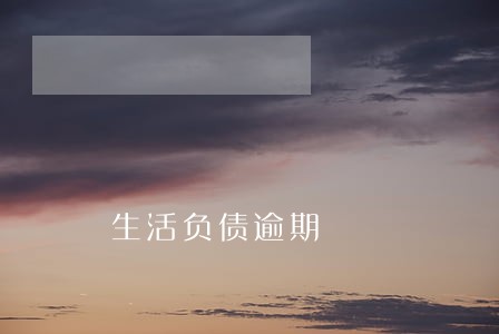生活负债逾期 生活负债逾期