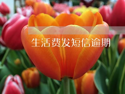 生活费发短信逾期 生活费发短信逾期