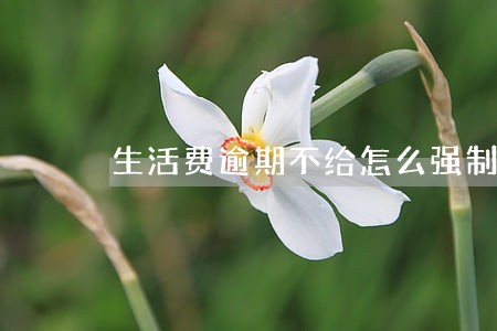 生活费逾期不给怎么强制执行 生活费逾期不给怎么强制执行