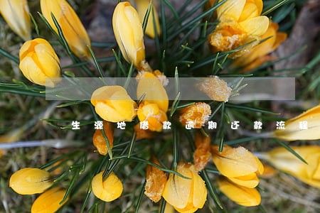 生源地借款逾期还款流程 生源地借款逾期还款流程